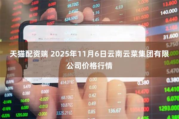 天猫配资端 2025年11月6日云南云菜集团有限公司价格行情