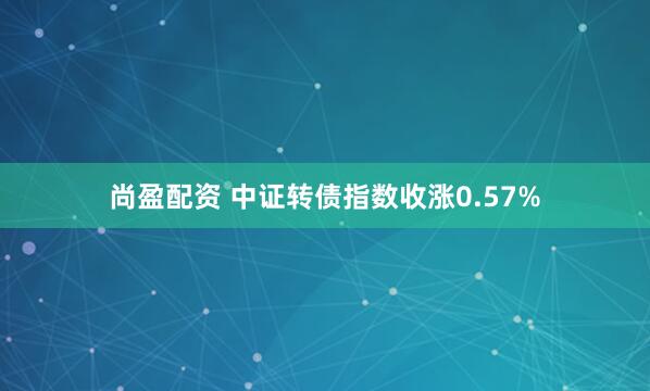 尚盈配资 中证转债指数收涨0.57%