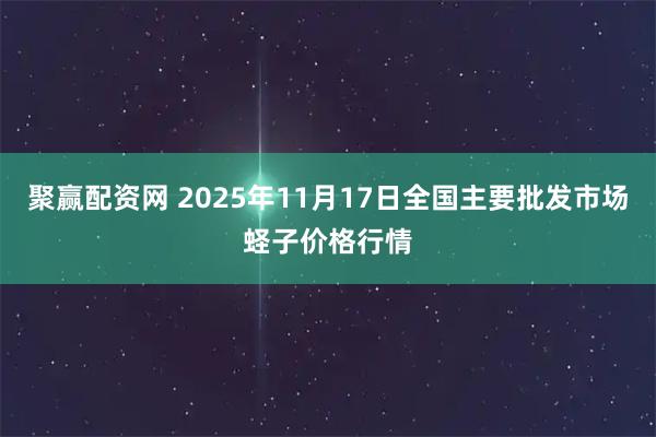 聚赢配资网 2025年11月17日全国主要批发市场蛏子价格行情