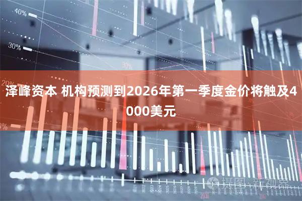 泽峰资本 机构预测到2026年第一季度金价将触及4000美元