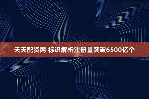天天配资网 标识解析注册量突破6500亿个