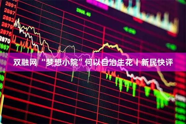 双融网 “梦想小院”何以自治生花丨新民快评